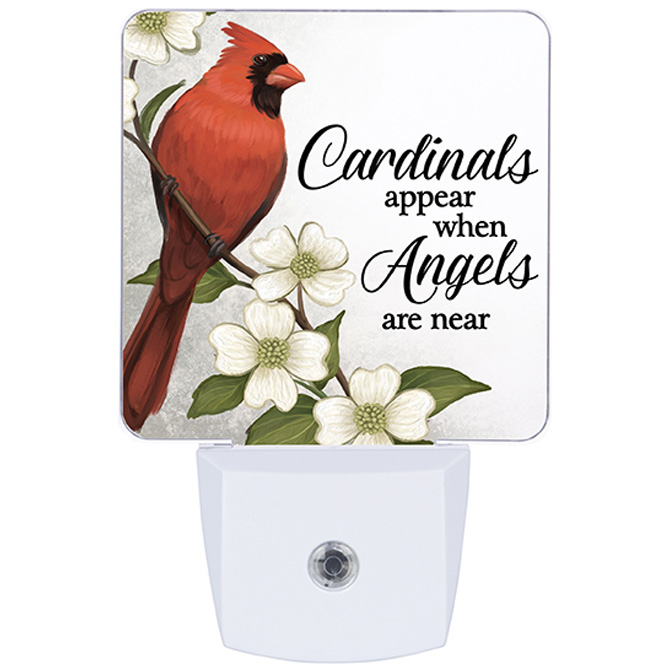 &quot;Cardinal&quot; Nightlight