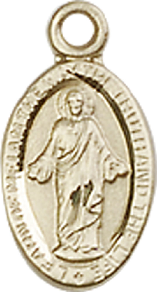 14kt Gold Filled Scapular Medal