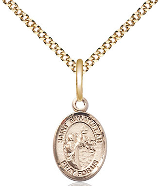 14kt Gold Filled Saint Nimatullah Pendant on a 18 inch Gold Plate Light Curb chain
