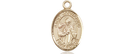 14kt Gold Filled Saint Januarius Medal