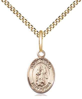 14kt Gold Filled Saint Drogo Pendant on a 18 inch Gold Plate Light Curb chain