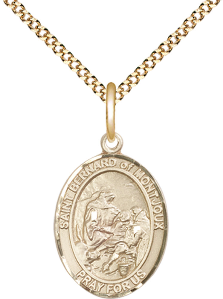 14kt Gold Filled Saint Bernard of Montjoux Pendant on a 18 inch Gold Plate Light Curb chain