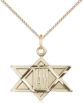 14kt Gold Filled I Am / Star of David Pendant on a 18 inch Gold Filled Light Curb chain