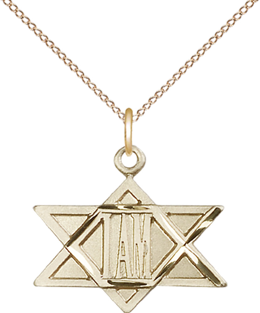 14kt Gold Filled I Am / Star of David Pendant on a 18 inch Gold Filled Light Curb chain