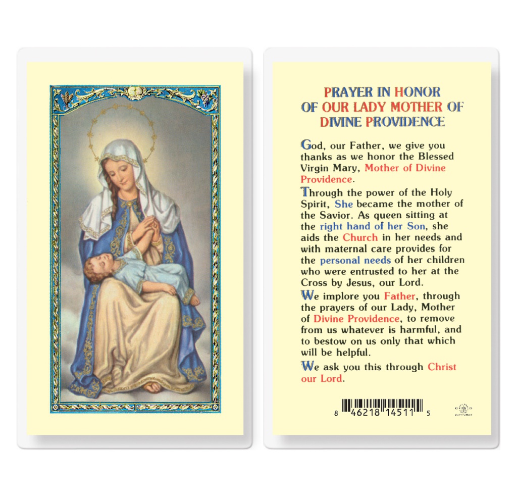 Our lady of Divine Providence Laminated Holy Card