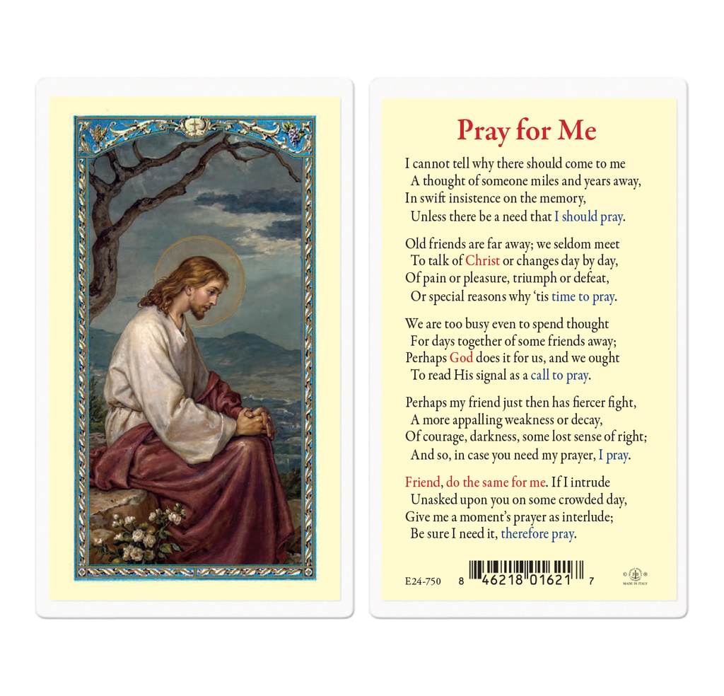 Pray for Me Laminated Holy Card