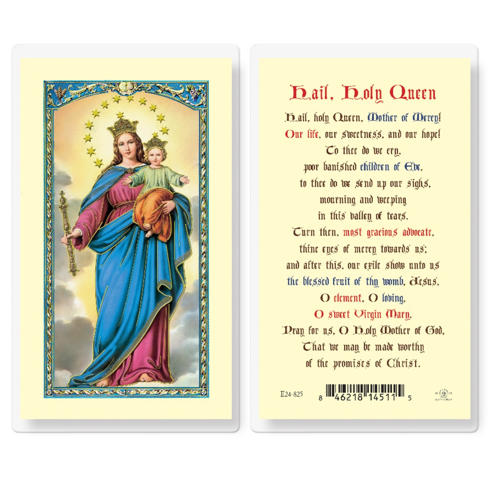 Hail Holy Queen Laminated Holy Card