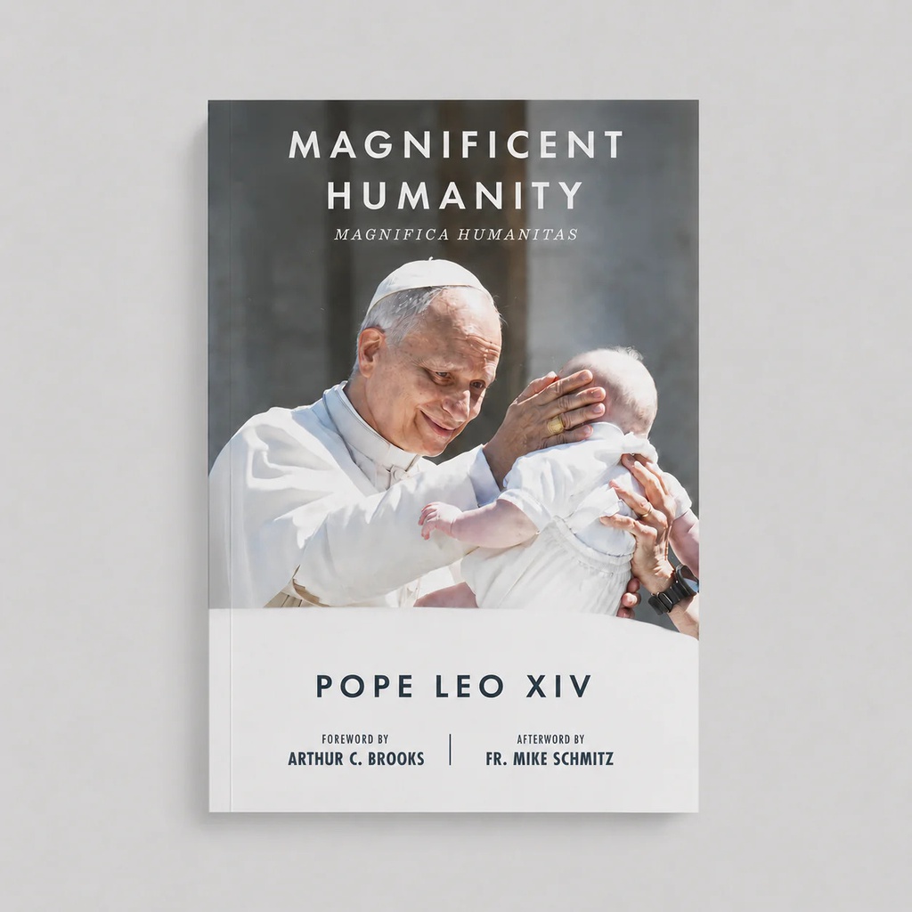 Magnifica Humanitas ("Magnificent Humanity")