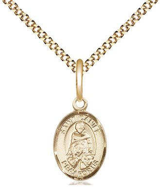 14kt Gold Filled Saint Daniel Pendant on a 18 inch Gold Plate Light Curb chain