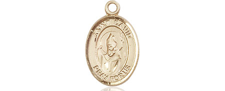 14kt Gold Filled Saint David of Wales Medal