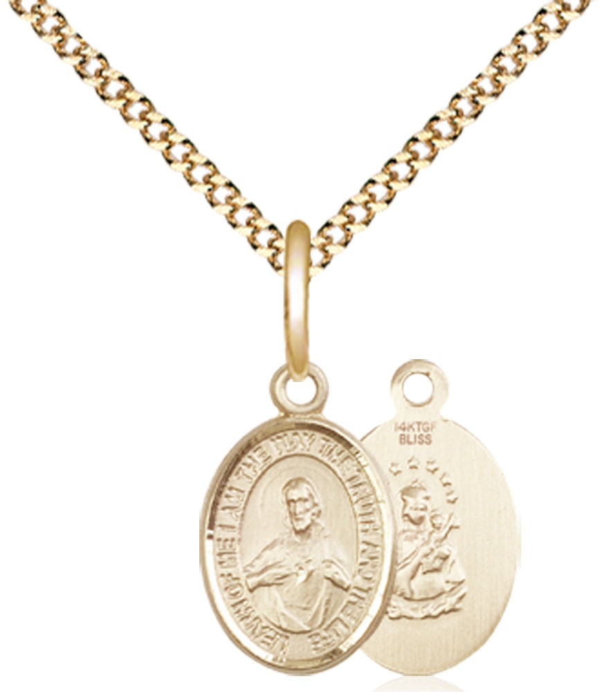14kt Gold Filled Scapular Pendant on a 18 inch Gold Plate Light Curb chain