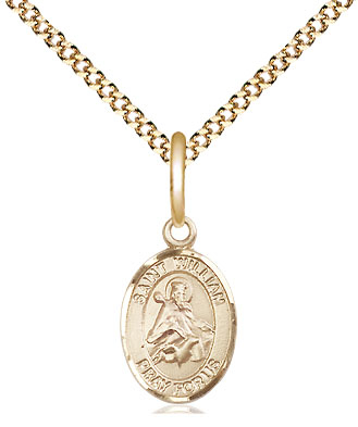 14kt Gold Filled Saint William of Rochester Pendant on a 18 inch Gold Plate Light Curb chain