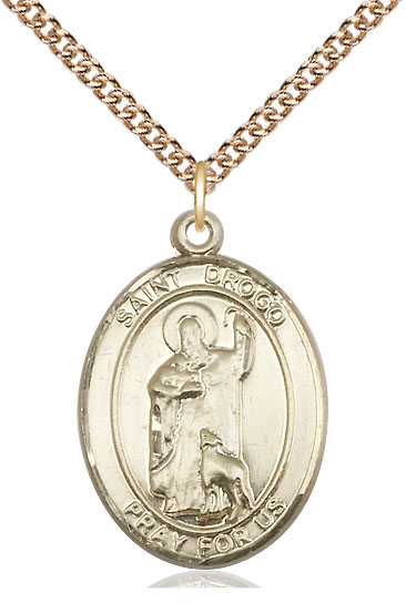 14kt Gold Filled Saint Drogo Pendant on a 24 inch Gold Filled Heavy Curb chain