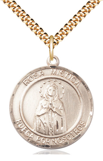 14kt Gold Filled Our Lady Rosa Mystica Pendant on a 24 inch Gold Filled Heavy Curb chain
