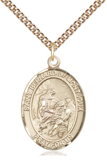 14kt Gold Filled Saint Bernard of Montjoux Pendant on a 24 inch Gold Filled Heavy Curb chain