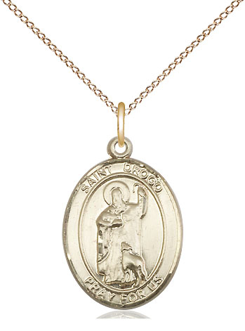 14kt Gold Filled Saint Drogo Pendant on a 18 inch Gold Filled Light Curb chain