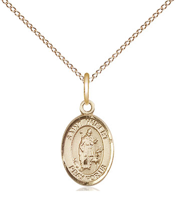14kt Gold Filled Saint Hubert of Liege Pendant on a 18 inch Gold Filled Light Curb chain
