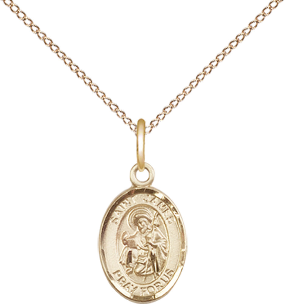 14kt Gold Filled Saint James the Greater Pendant on a 18 inch Gold Filled Light Curb chain