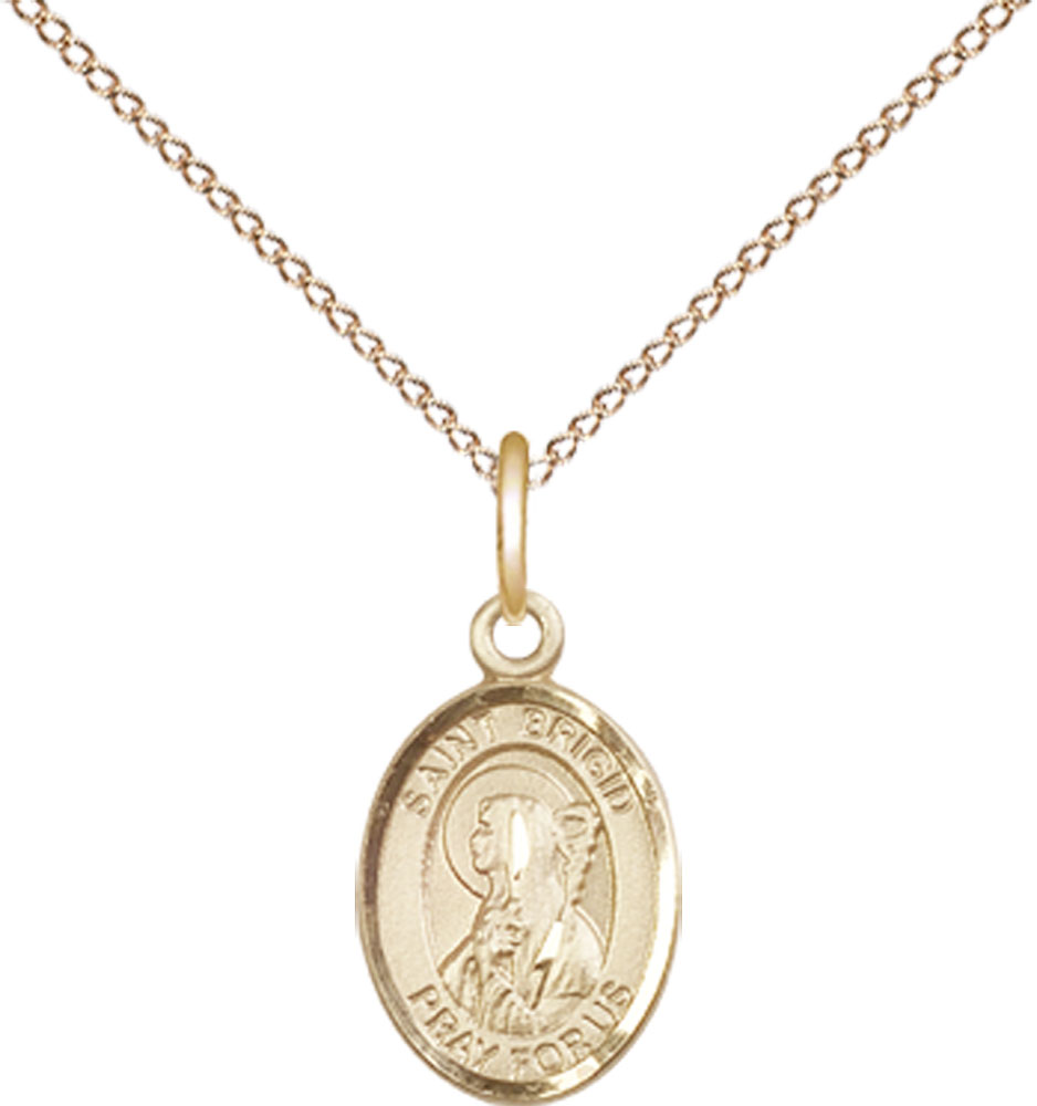 14kt Gold Filled Saint Brigid of Ireland Pendant on a 18 inch Gold Filled Light Curb chain