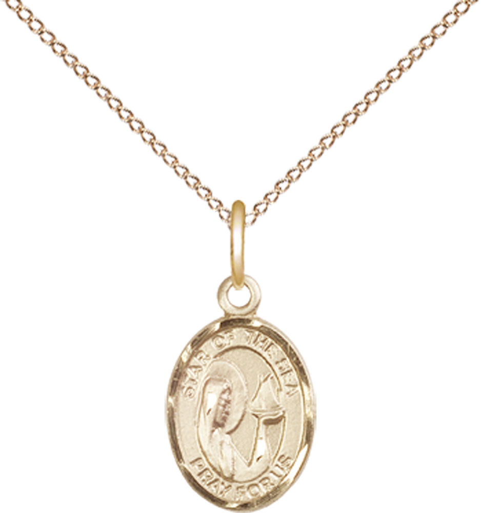 14kt Gold Filled Our Lady Star of the Sea Pendant on a 18 inch Gold Filled Light Curb chain