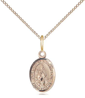 14kt Gold Filled Our Lady of Assumption Pendant on a 18 inch Gold Filled Light Curb chain