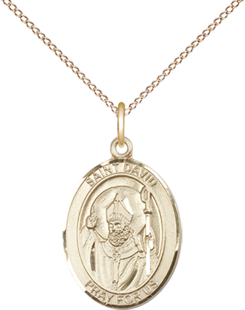 14kt Gold Filled Saint David of Wales Pendant on a 18 inch Gold Filled Light Curb chain