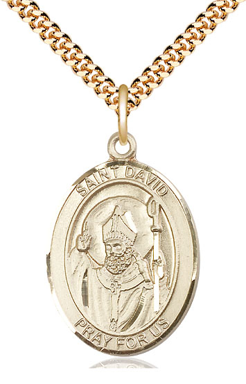 14kt Gold Filled Saint David of Wales Pendant on a 24 inch Gold Plate Heavy Curb chain