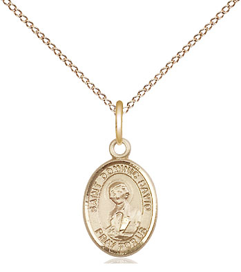 14kt Gold Filled Saint Dominic Savio Pendant on a 18 inch Gold Filled Light Curb chain