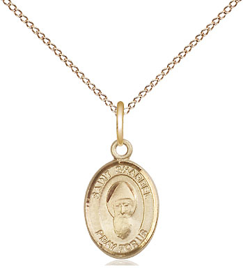 14kt Gold Filled Saint Sharbel Pendant on a 18 inch Gold Filled Light Curb chain