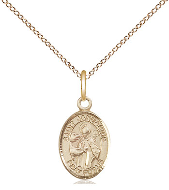 14kt Gold Filled Saint Januarius Pendant on a 18 inch Gold Filled Light Curb chain