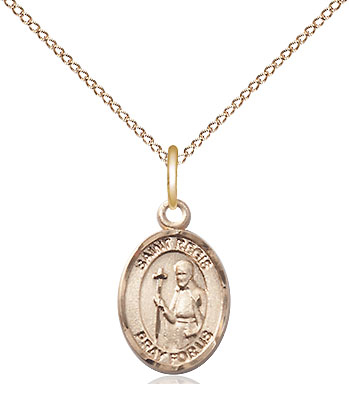 14kt Gold Filled Saint Regis Pendant on a 18 inch Gold Filled Light Curb chain