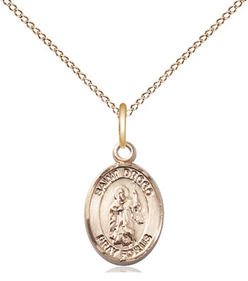14kt Gold Filled Saint Drogo Pendant on a 18 inch Gold Filled Light Curb chain