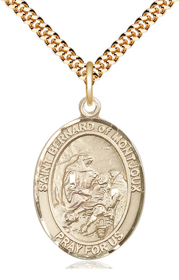 14kt Gold Filled Saint Bernard of Montjoux Pendant on a 24 inch Gold Plate Heavy Curb chain