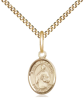 14kt Gold Filled Saint Placidus Pendant on a 18 inch Gold Plate Light Curb chain