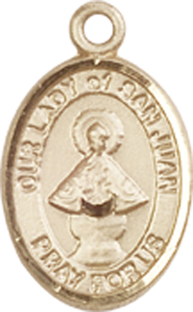 14kt Gold Filled Our Lady of San Juan Medal