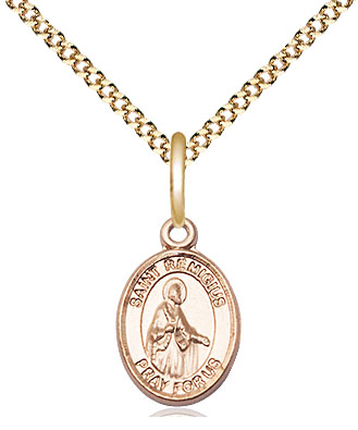 14kt Gold Filled Saint Remigius of Reims Pendant on a 18 inch Gold Plate Light Curb chain