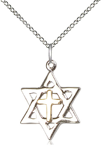 Two-Tone GF/SS Star of David Pendant on a 18 inch Sterling Silver Light Curb chain