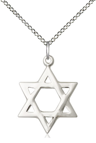 Sterling Silver Star of David Pendant on a 18 inch Sterling Silver Light Curb chain