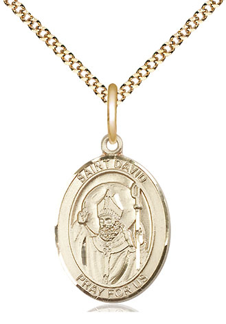 14kt Gold Filled Saint David of Wales Pendant on a 18 inch Gold Plate Light Curb chain