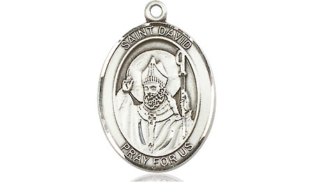 Sterling Silver Saint David of Wales Medal