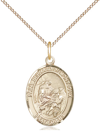 14kt Gold Filled Saint Bernard of Montjoux Pendant on a 18 inch Gold Filled Light Curb chain