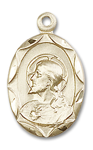 14kt Gold Filled Scapular Medal