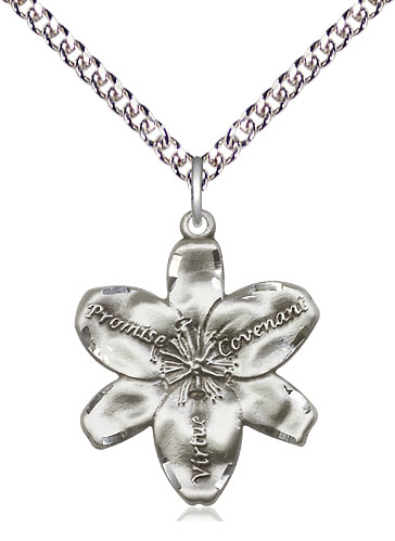 Sterling Silver Chastity Pendant on a 24 inch Sterling Silver Heavy Curb chain