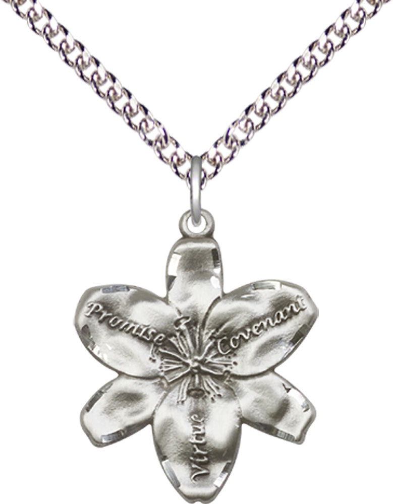 Sterling Silver Chastity Pendant on a 24 inch Sterling Silver Heavy Curb chain