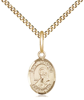 14kt Gold Filled Saint Benjamin Pendant on a 18 inch Gold Plate Light Curb chain
