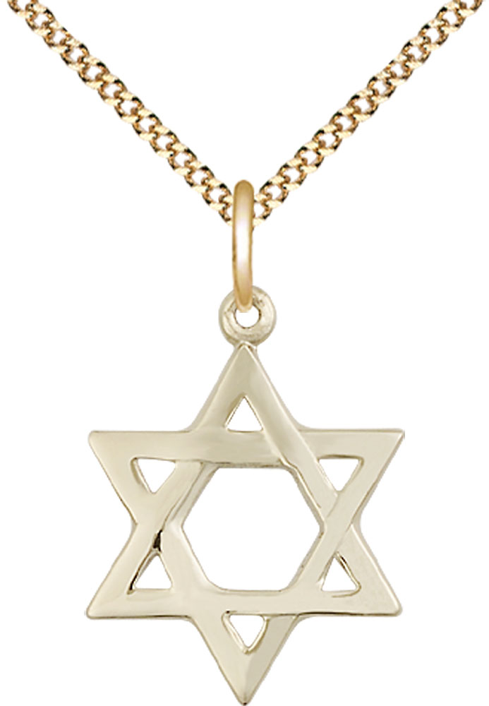 14kt Gold Filled Star of David Pendant on a 18 inch Gold Plate Light Curb chain