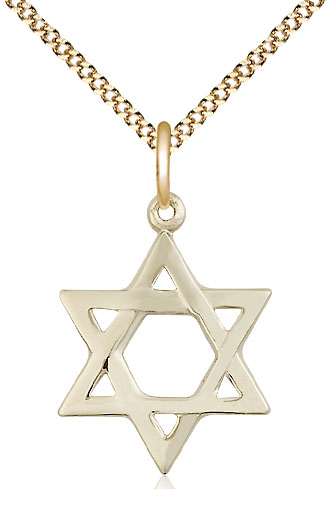 14kt Gold Filled Star of David Pendant on a 18 inch Gold Plate Light Curb chain