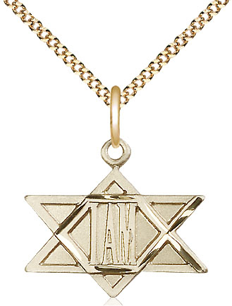 14kt Gold Filled I Am / Star of David Pendant on a 18 inch Gold Plate Light Curb chain