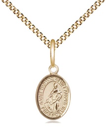[9304GF/18G] 14kt Gold Filled Saint Thomas of Villanova Pendant on a 18 inch Gold Plate Light Curb chain