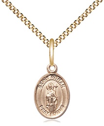 [9315GF/18G] 14kt Gold Filled Saint Ronan Pendant on a 18 inch Gold Plate Light Curb chain